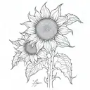 sunflower, 111 within, BMJ initials Arabic font incorporated, protector included  tattoo design idea
