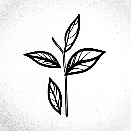 basil plant with thin lines tattoo design idea
