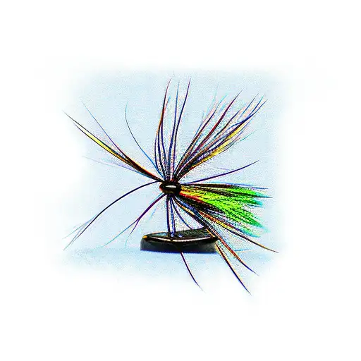fly fishing flies detailed tattoo design idea