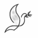 a dove tattoo design idea
