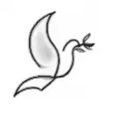 a dove tattoo design idea
