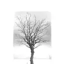 bare tree darkness orange street light tattoo design idea