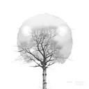 bare tree darkness orange street light tattoo design idea