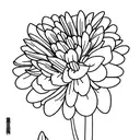 carnation, daisy, water lily, daffodil put them all in a bouquet tattoo design idea