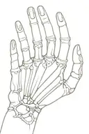 skeleton hand tattoo design idea