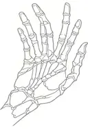 skeleton hand tattoo design idea
