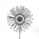 Three daisies, with three stems, intertwined, one on top of the other, in black and white. tattoo design idea