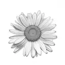Three daisies, with three stems, intertwined, one on top of the other, in black and white. tattoo design idea