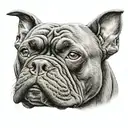 Black And Grey American Bully Tattoo tattoo design idea