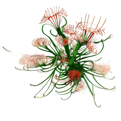 centipede and spider lily  tattoo design idea