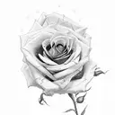 roses, arms, Einstein  tattoo design idea