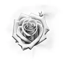 roses, arms, Einstein  tattoo design idea