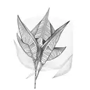 Strelitzia tattoo design idea