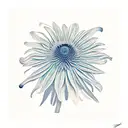 coneflower tattoo design idea