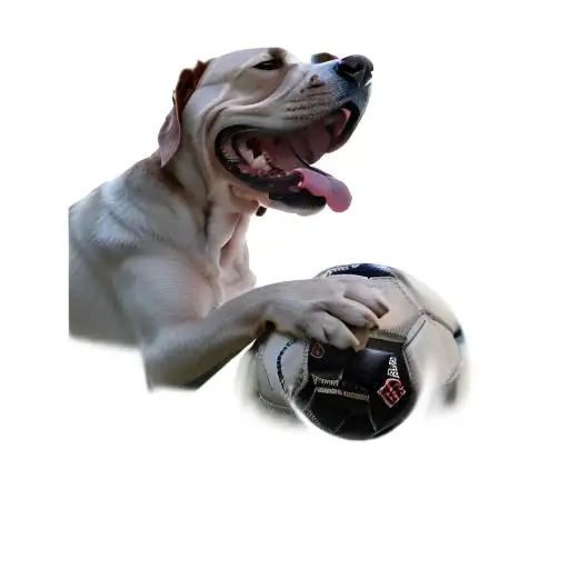 a dog laying on a soccer ball tattoo design idea