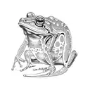 ninja frog tattoo design idea