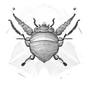 Dung beetle (Oxysternon conspicillatum) and the Fibonacci sequence  tattoo design idea