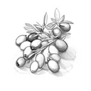 Olive wreath  tattoo design idea