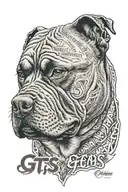 american  bully dog head with phrase "GTS"  tattoo design idea