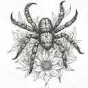 tarantula edelweiss tattoo design idea