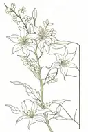 elderflower branch and spider lily enwinted together fine line tattoo design idea