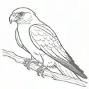Peregrine falcon tattoo design idea