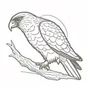 Peregrine falcon tattoo design idea