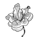 Iris name tattoo  tattoo design idea