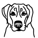 single line drawing of a beagle tattoo design idea