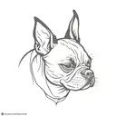 Boston terrier tattoo design idea