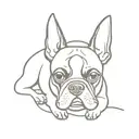 Boston terrier tattoo design idea