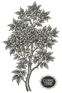 curry tree tattoo design idea