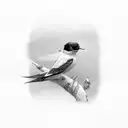 swallow  tattoo design idea