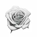 A new-school design of a little red rose blooming out of an open book, representing the client's passion for reading and love for roses tattoo design idea