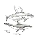 orca, dolphin and other sea mammals, in black ink, detailed for the forearm tattoo design idea