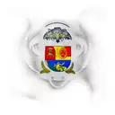 Romanian flag on wolf tattoo design idea