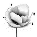 One single poppy flower And implement leap day February 29th which is my wedding anniversary, use thin lines and simple  tattoo design idea