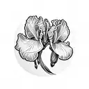 iris flower and violet flower with dates february 22 and february 25 tattoo design idea