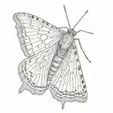 slender moth open wings tattoo design idea