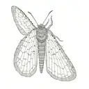 slender moth open wings tattoo design idea