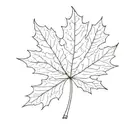 maple leaf tattoo design idea