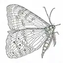 slender moth open wings tattoo design idea