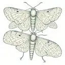 slender moth open wings tattoo design idea