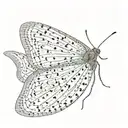 slender moth open wings tattoo design idea