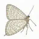 slender moth open wings tattoo design idea