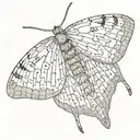 slender moth open wings tattoo design idea
