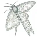 slender moth open wings tattoo design idea
