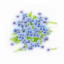 forget-me-not memory father tattoo design idea