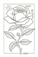 the date november 12th incorperated into a drawing of a single dainty rose on a stem  tattoo design idea