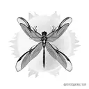 Dragonfly tattoo design idea